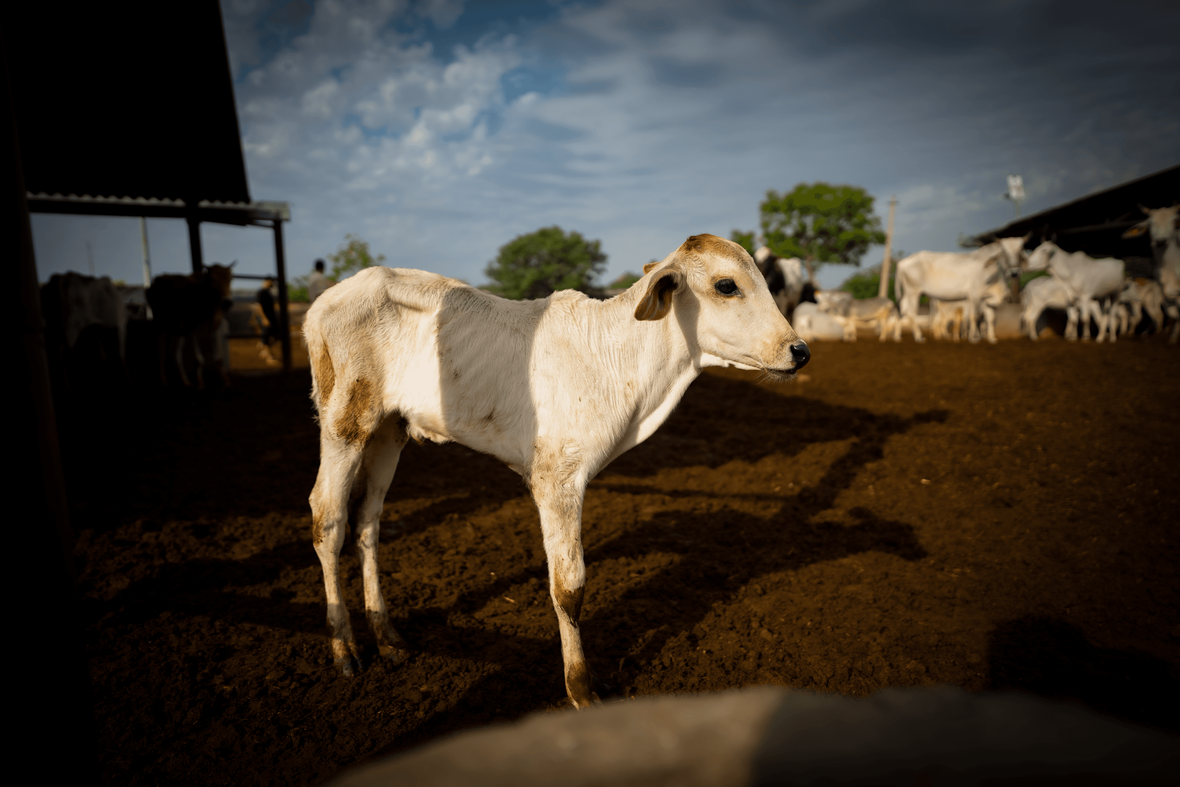 People discussing support and community outreach