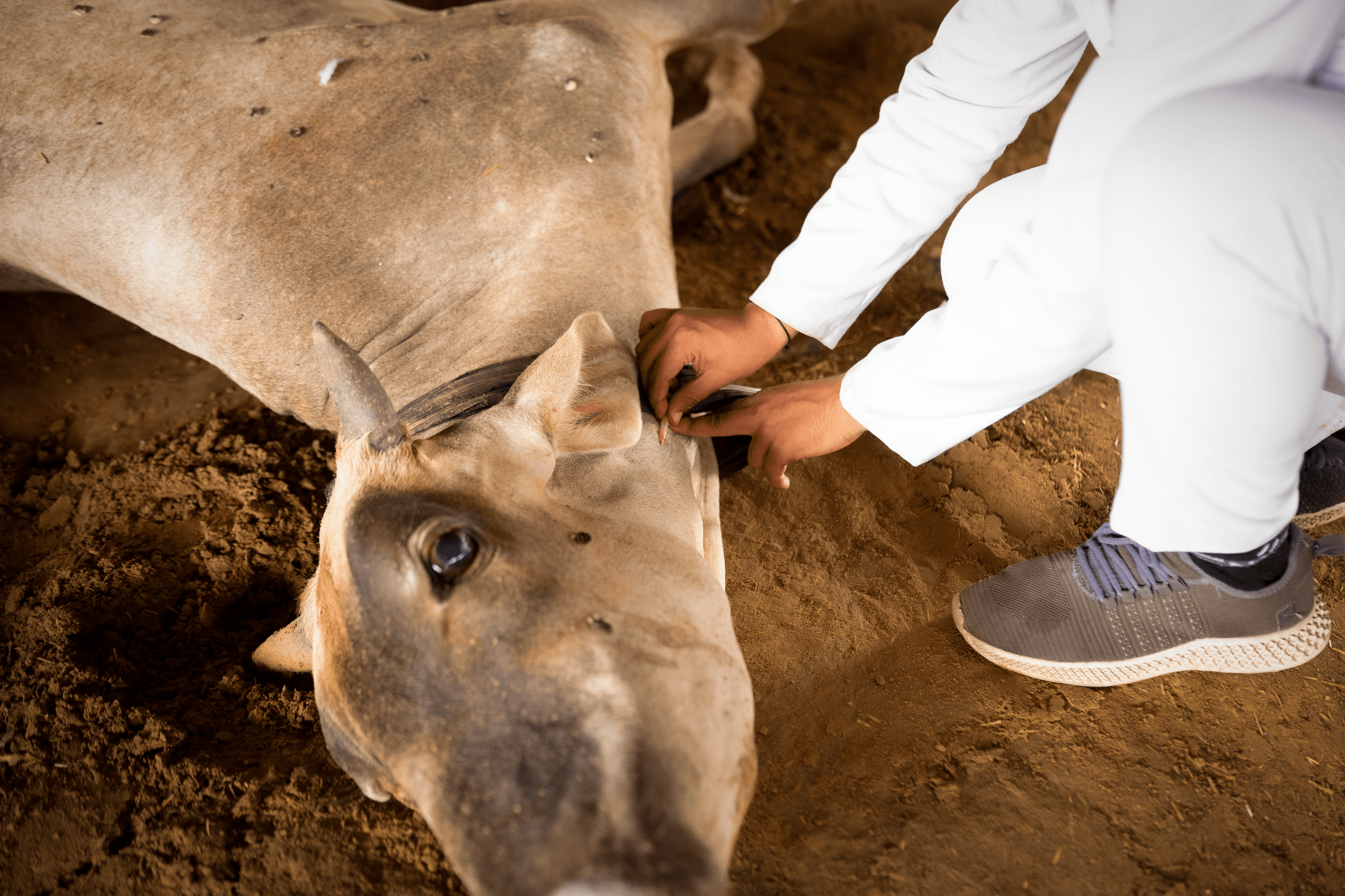 Emergency Medical Assistance